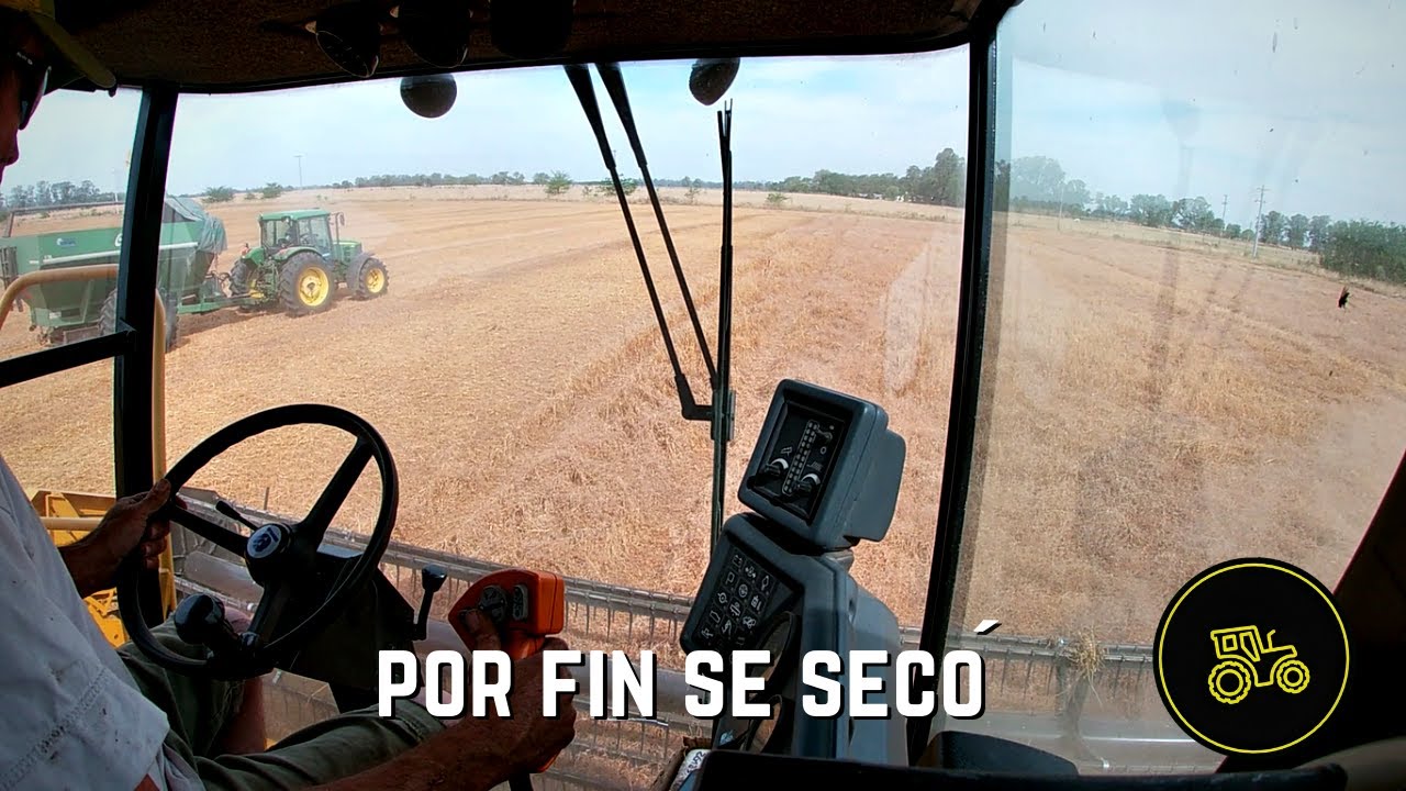 Cosecha de vicia PARTE 1 / VLOG 16