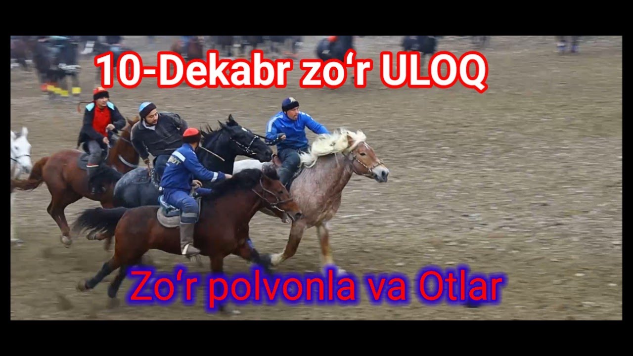 10-dekabr, 2025 Uloq koʻpkarisi ZOʻR Namangan Yangiqoʻrgʻon#uloq#kopkari 