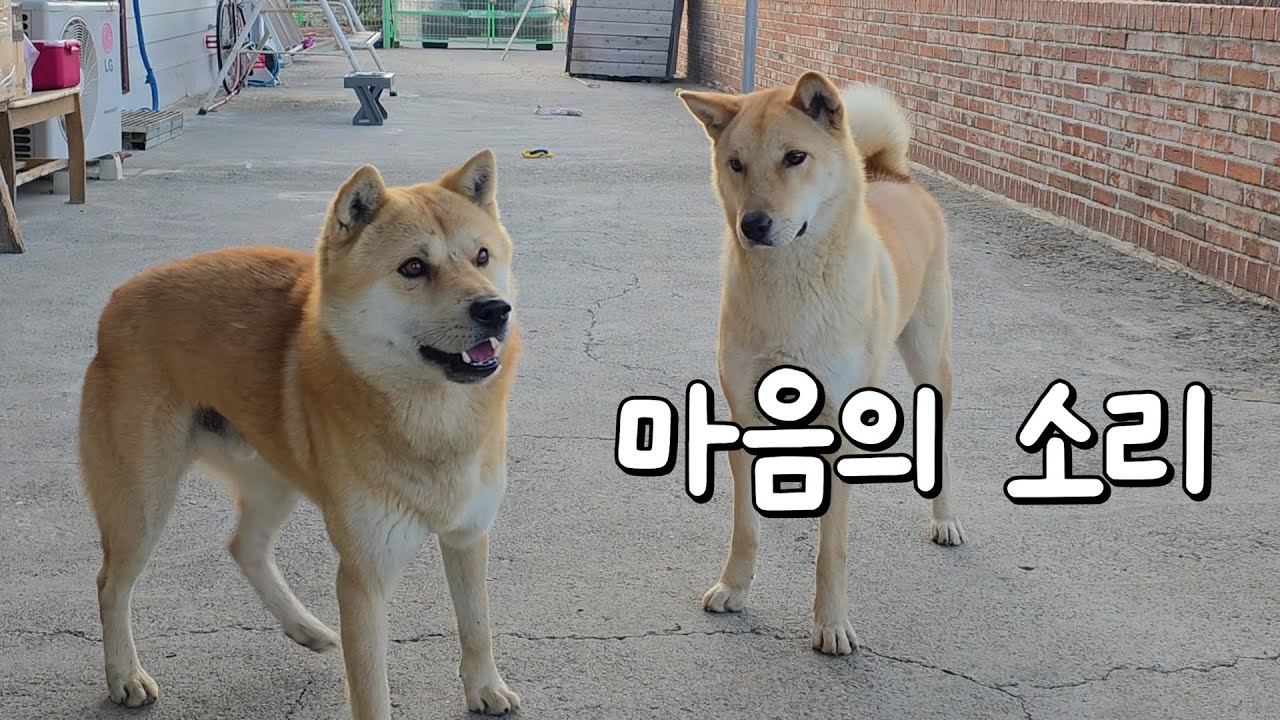 수술 날짜 잡고 왔습니다