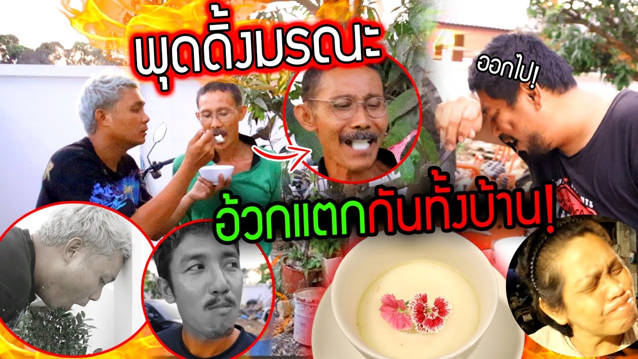 พุดดิ้งมรณะ!!!  ใครกินอ้วกแตกกันทั้งบ้าน โคตรฮา