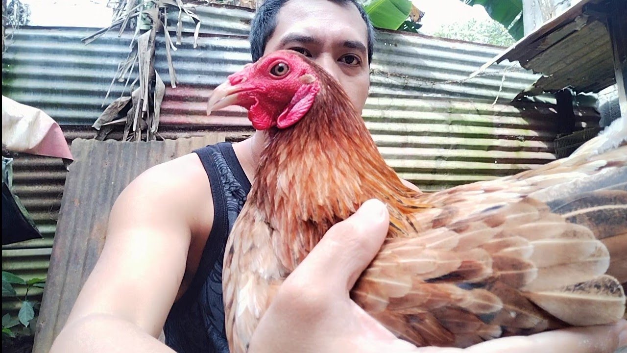 UPDATE LUMABO ANG MATA NI HENNIE