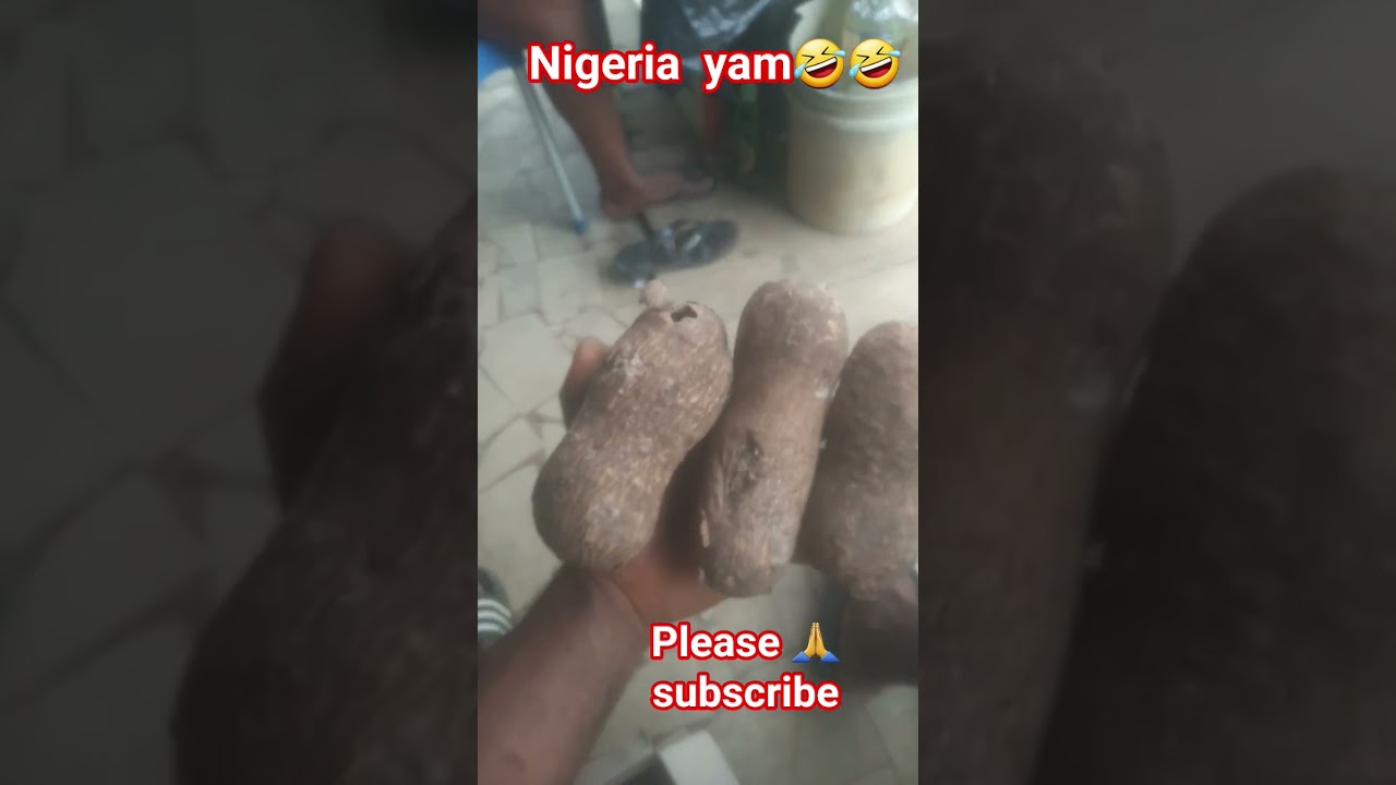 Nigeria yam ctive.🥰🥰🥰🥰🥰 