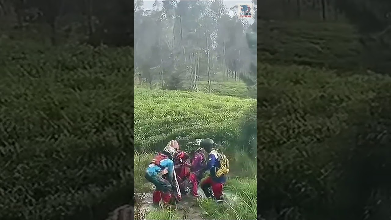 pada akhirnya nyemplung juga wkwk 