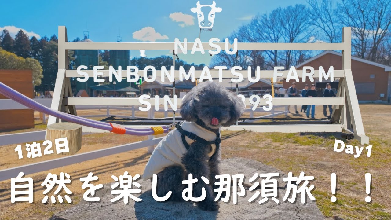 わんこと1泊2日の那須旅行！【DAY1】