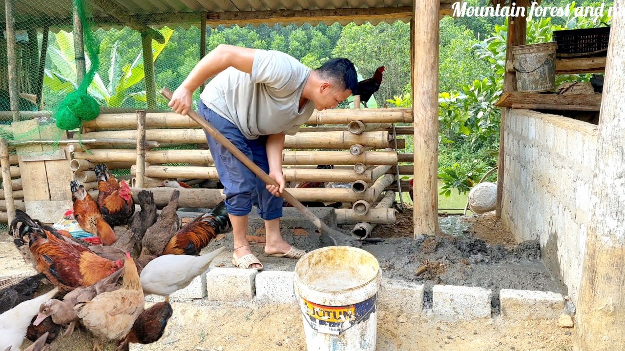 Video summarizing my daily work in the mountains and forests. Befriending animals to work and develo