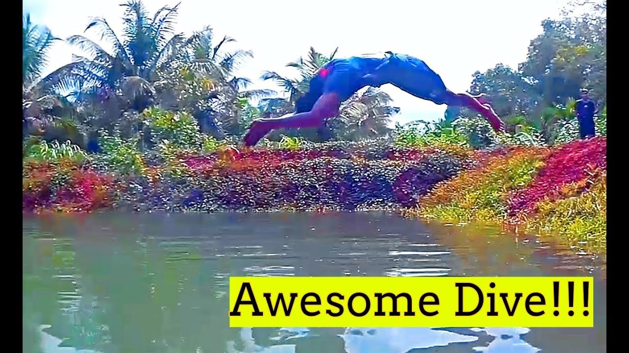 Amazing Dive | Mijar | Moodabidre