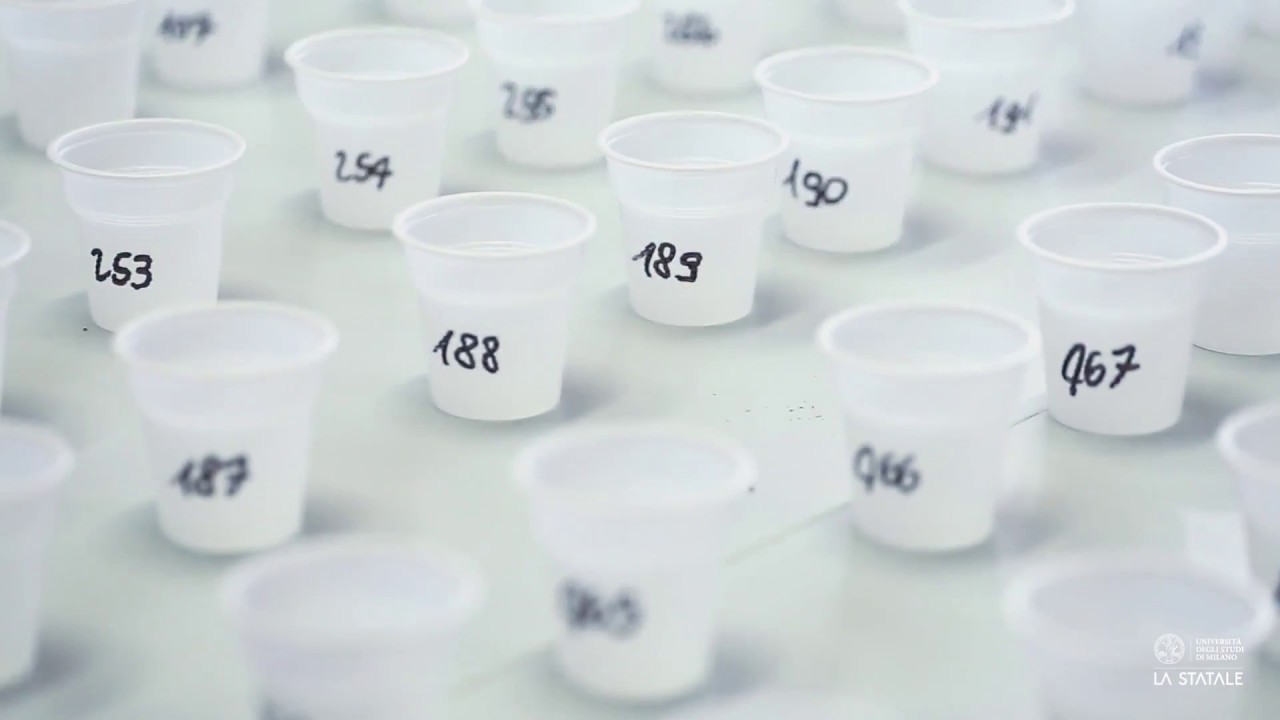 Laboratorio di Analisi Sensoriale - DeFENS (UNIMI)