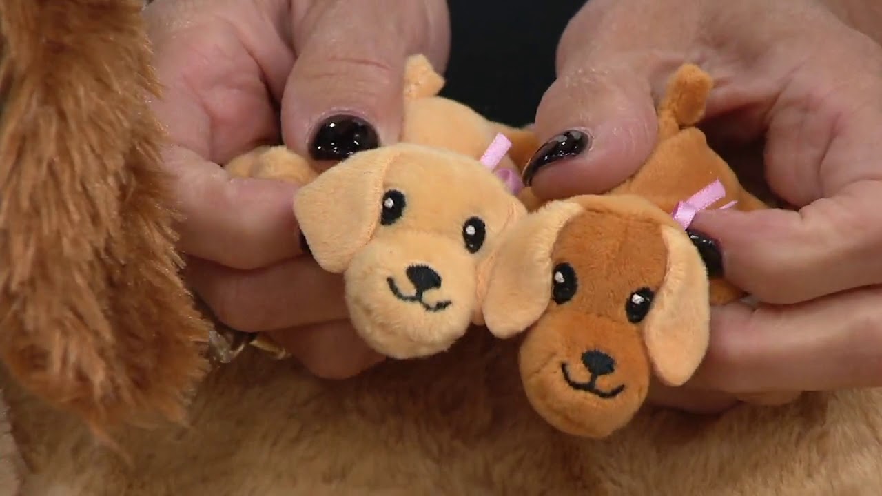 Puppy Surprise Magic Mommy Surprise Dog With Puppies And Movement on QVC