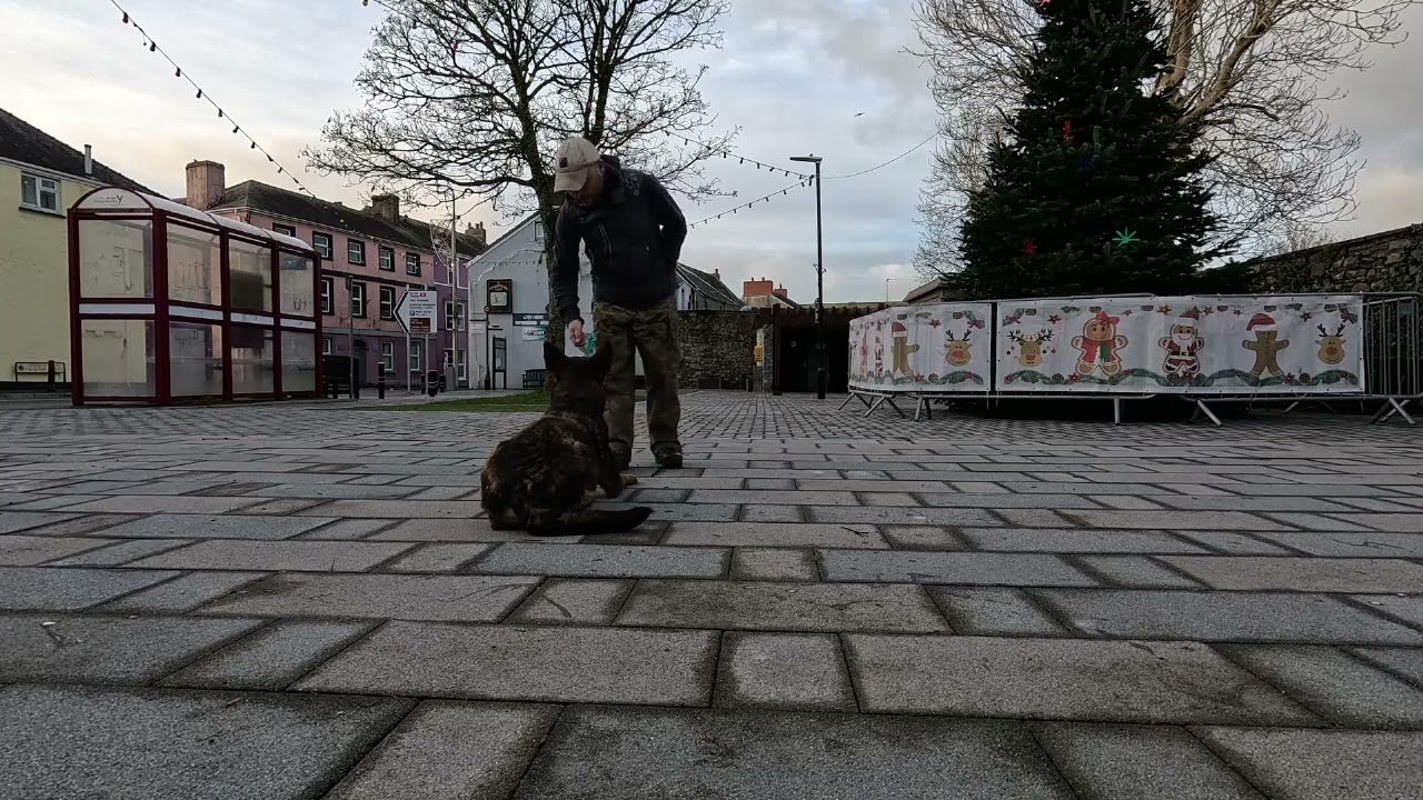 Oscar 13 01 26 vid 3