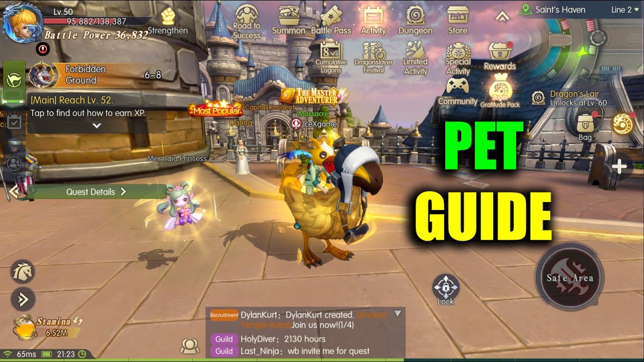 Dragon Nest 2 Evolution Pet Guide