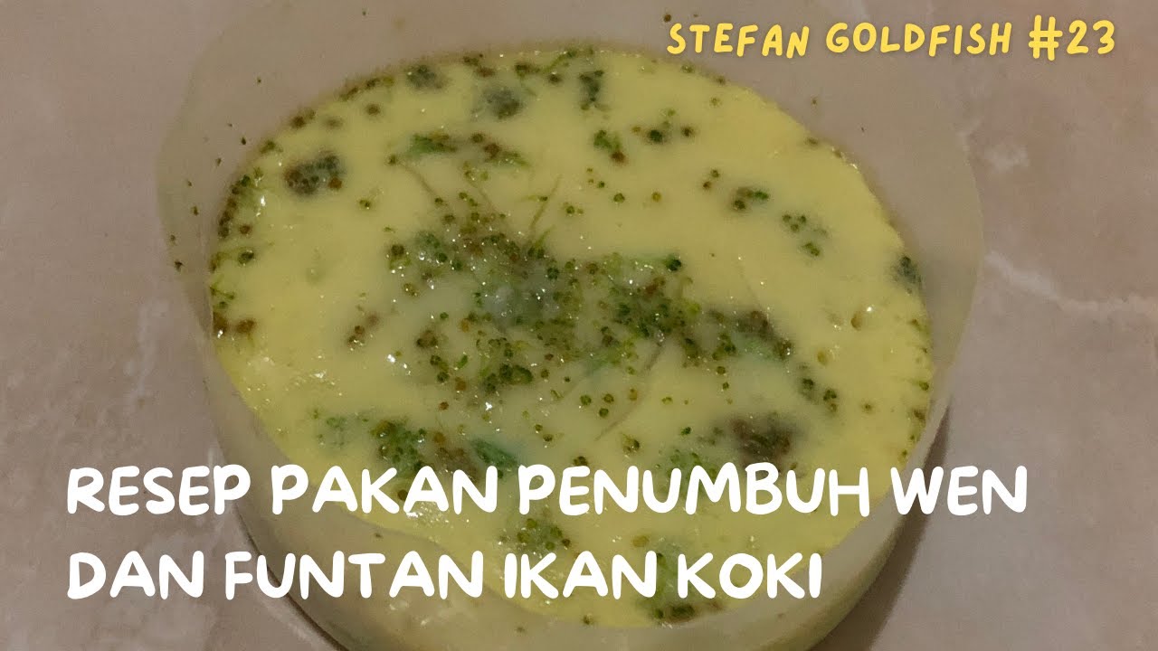 RESEP PAKAN PENUMBUH WEN DAN FUNTAN IKAN KOKI #wenkoki #funtankoki