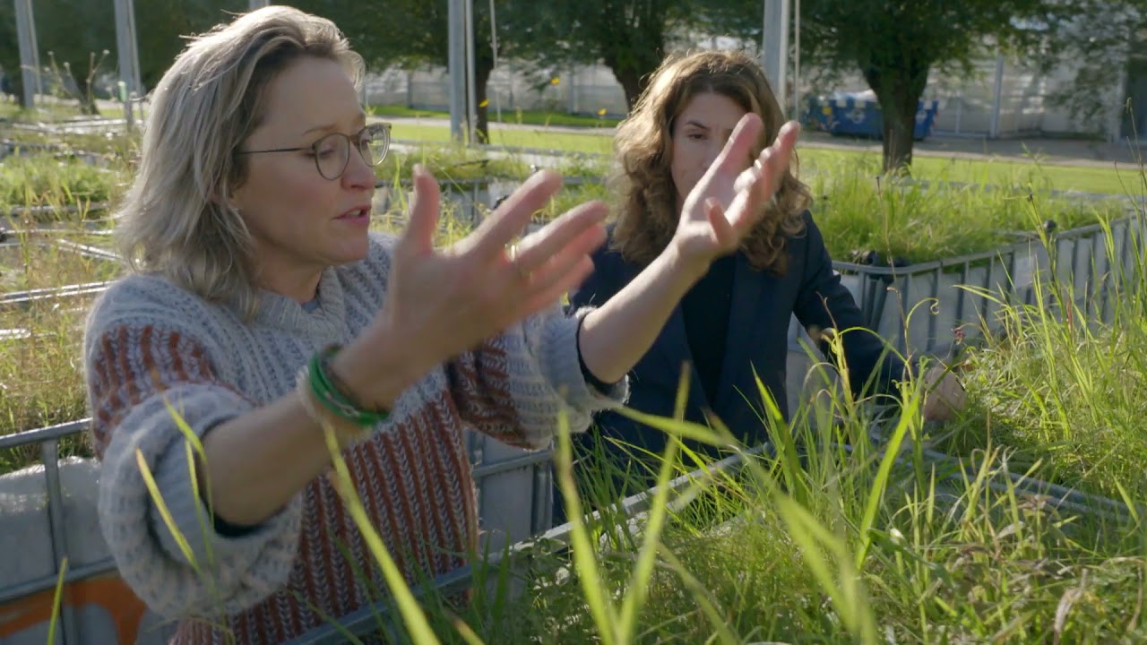Waarom is biodiversiteit zo belangrijk? | TV | Vroege Vogels