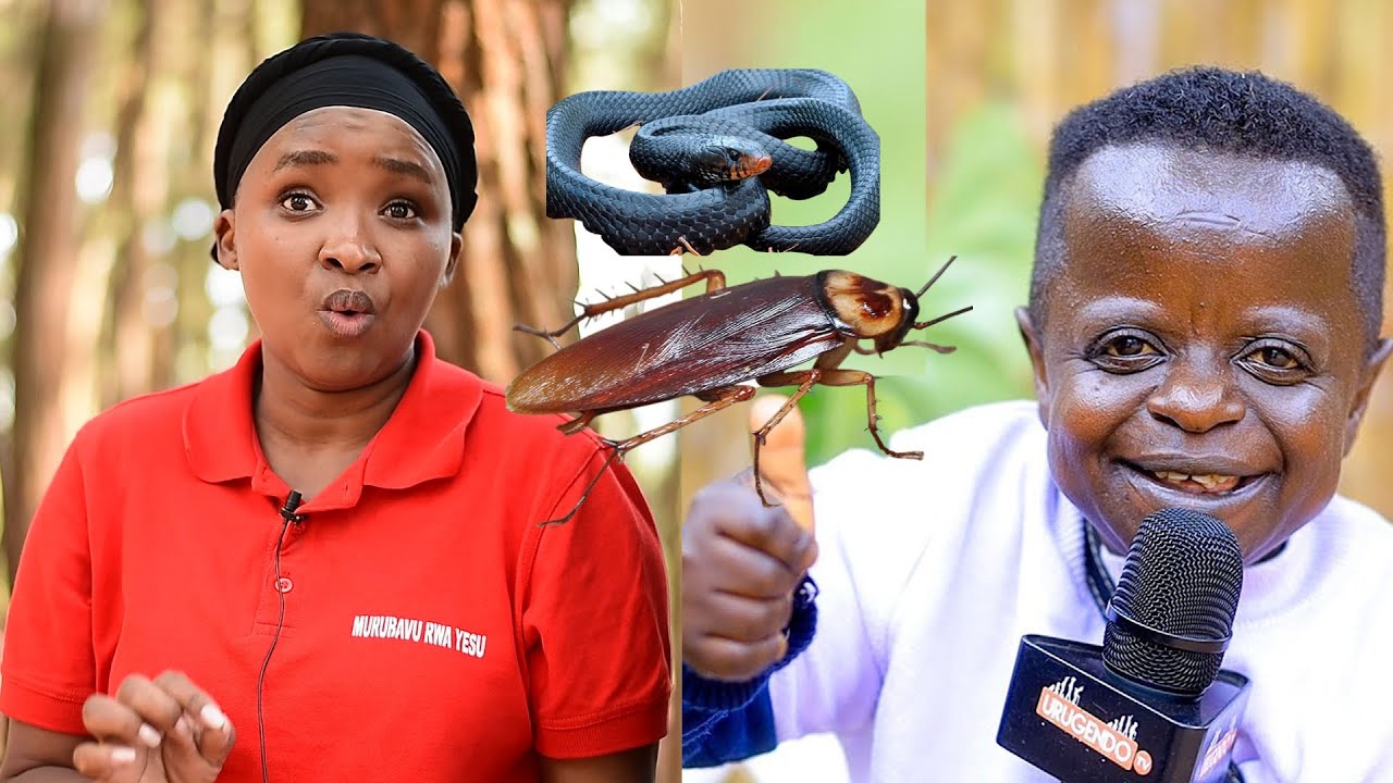 NARAPFUYE NUMWAKA NAPFUYEMO NDAWUZI/MVUGANA N'INZOKA/NGIYE KUMENA AMARASO/ABISHE GOGO BOSE ARABAVUZE