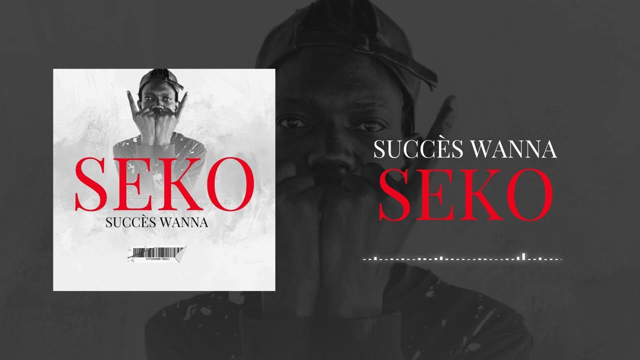 Succès wana SEKO by leki Prod