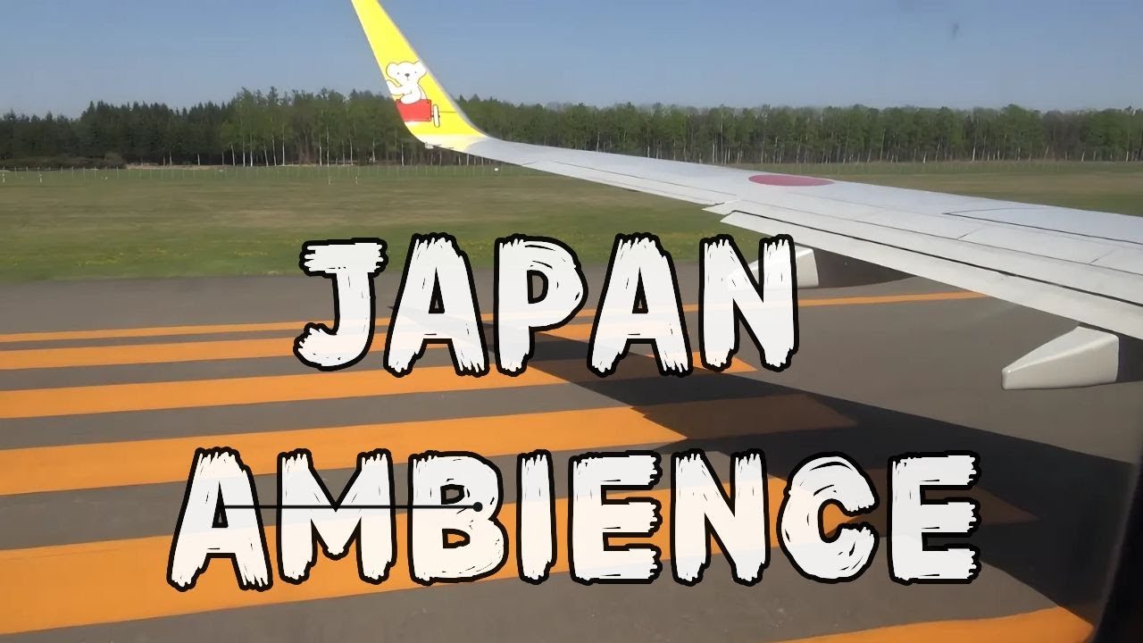 일본항공 | AIRDO | 오비히로 → 하네다 공항 | 비행영상