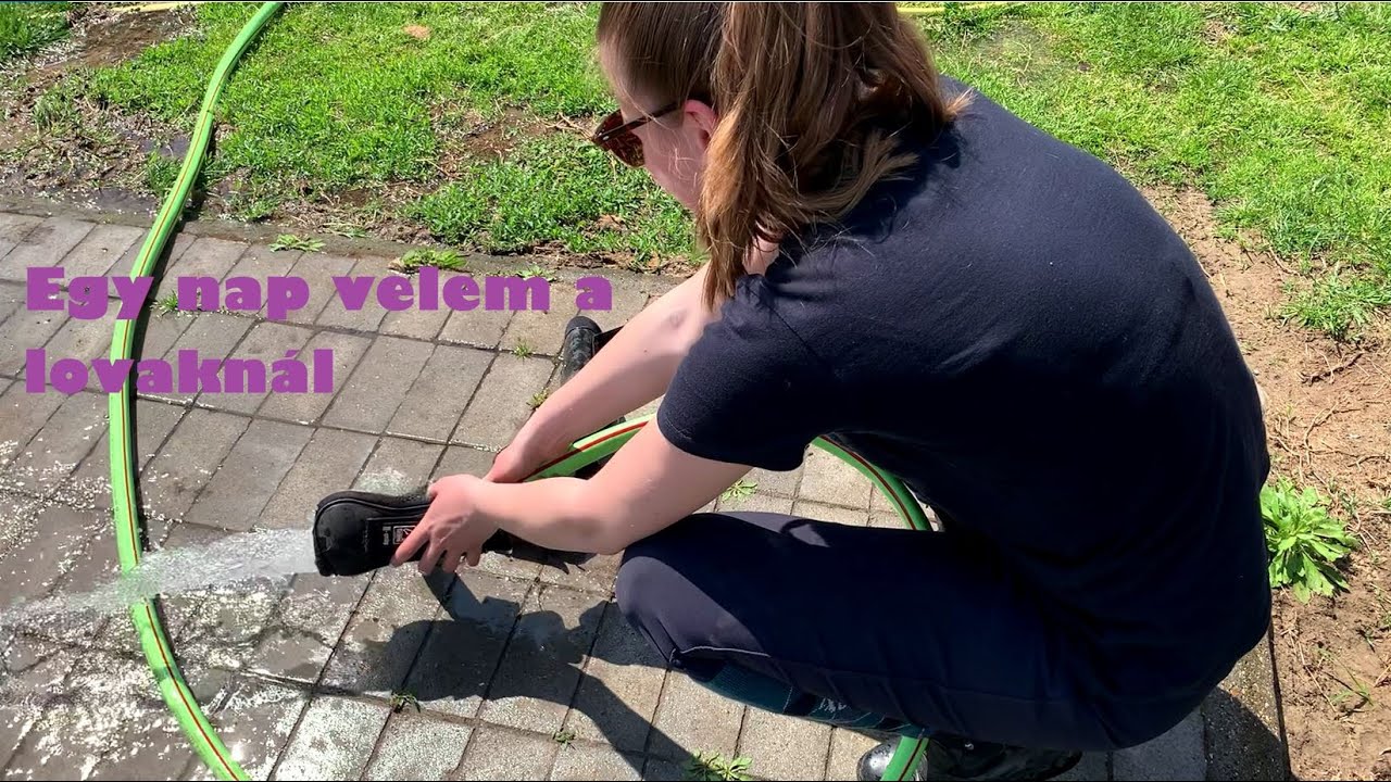 Egy nap velem a lovaknál | PIBALDI