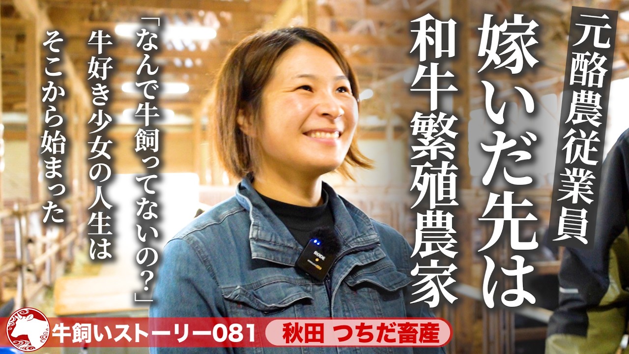 【秋田：つちだ畜産 (和牛繁殖農家)】牛農家にやって来た牛好き妻  酪農従業員から和牛繁殖農家へ転身《牛旅wasabee 牛飼いストーリー081》