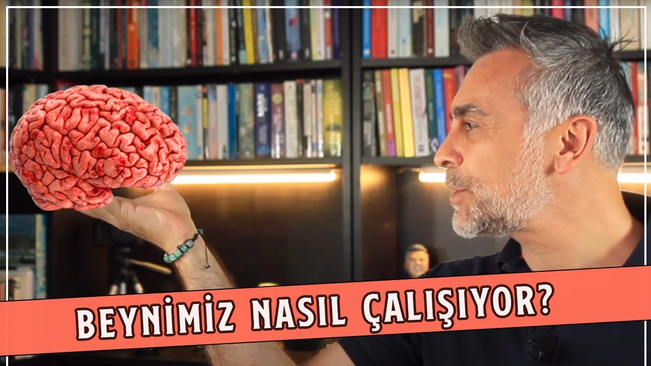 Beynin Olağanüstü Çalışma Sistemi | Tüm Gizemleri ile Beyin