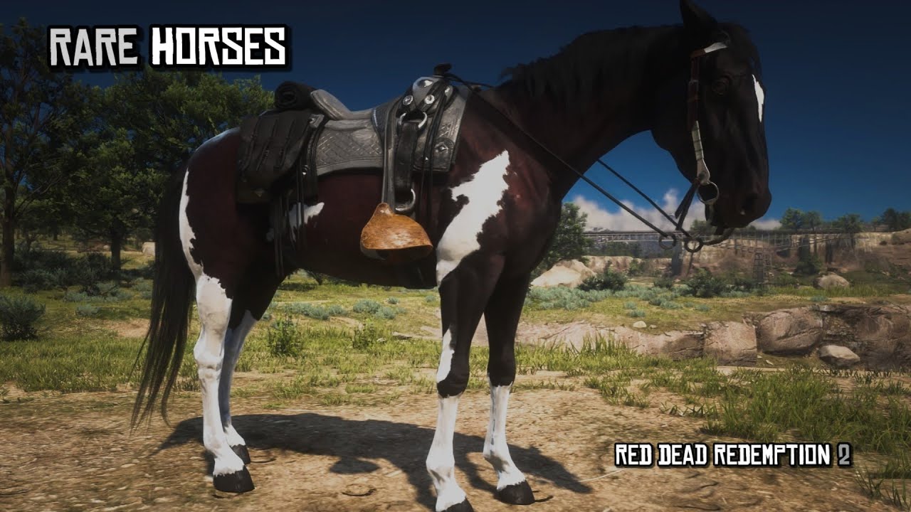 8 Most Rare Horses for Arthur in Chapter 2 | Red Dead Redemption 2