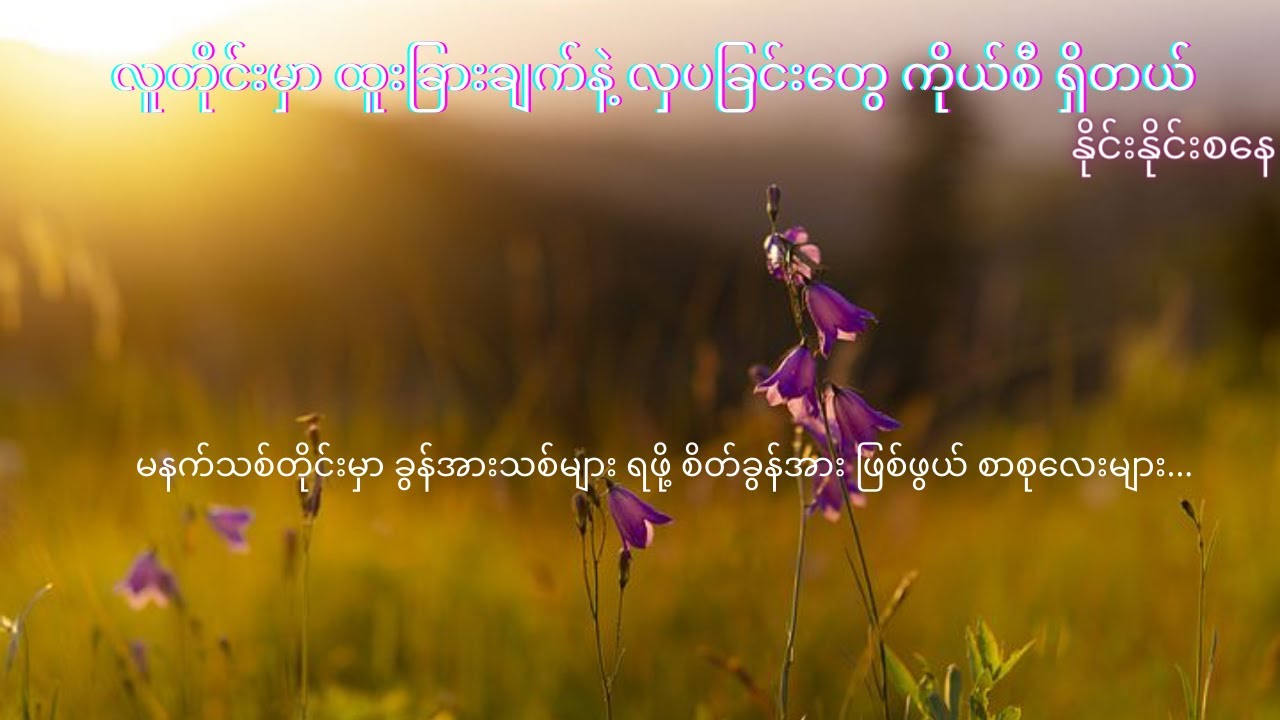 လူတိုင်းမှာ ထူးခြားချက်နဲ့ လှပခြင်းတွေ ကိုယ်စီ ရှိတယ် ၊ နိင်းနိုင်းစနေ - ကျွန်မ ဖတ်ဖို့