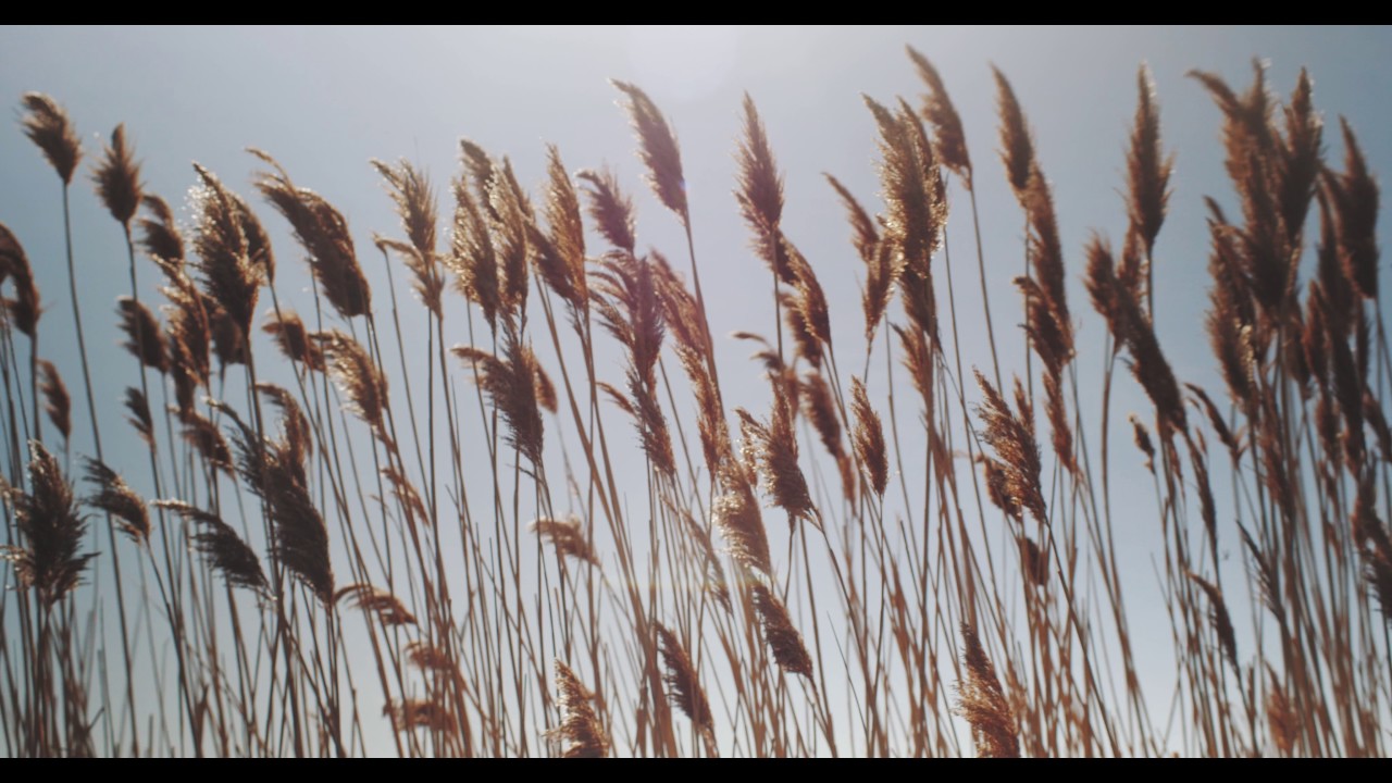 GH5 - Voigtlander 17.5mm // Speed Booster Helios 44-2 Test // 4k