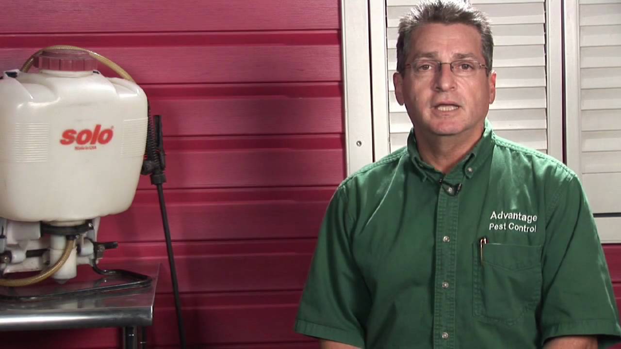 Pest Control : How to Kill Indoor Gnats