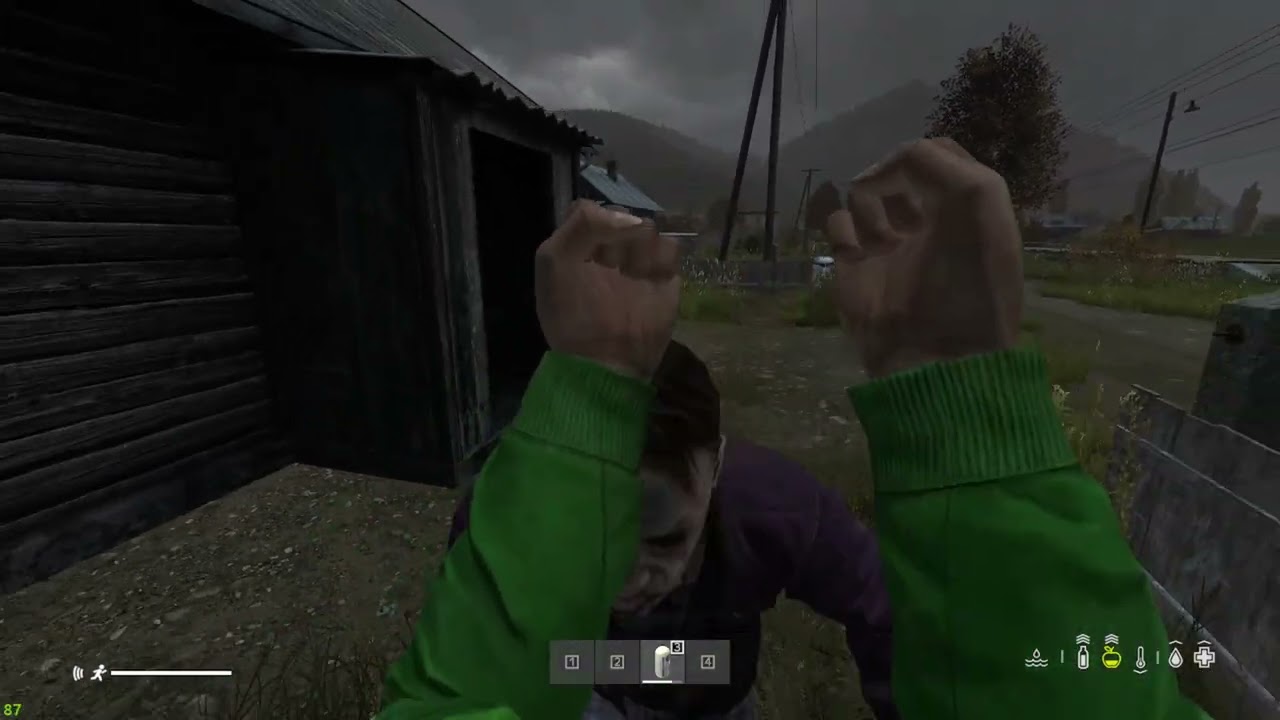 DayZ oficial solo. Empezando por cherno