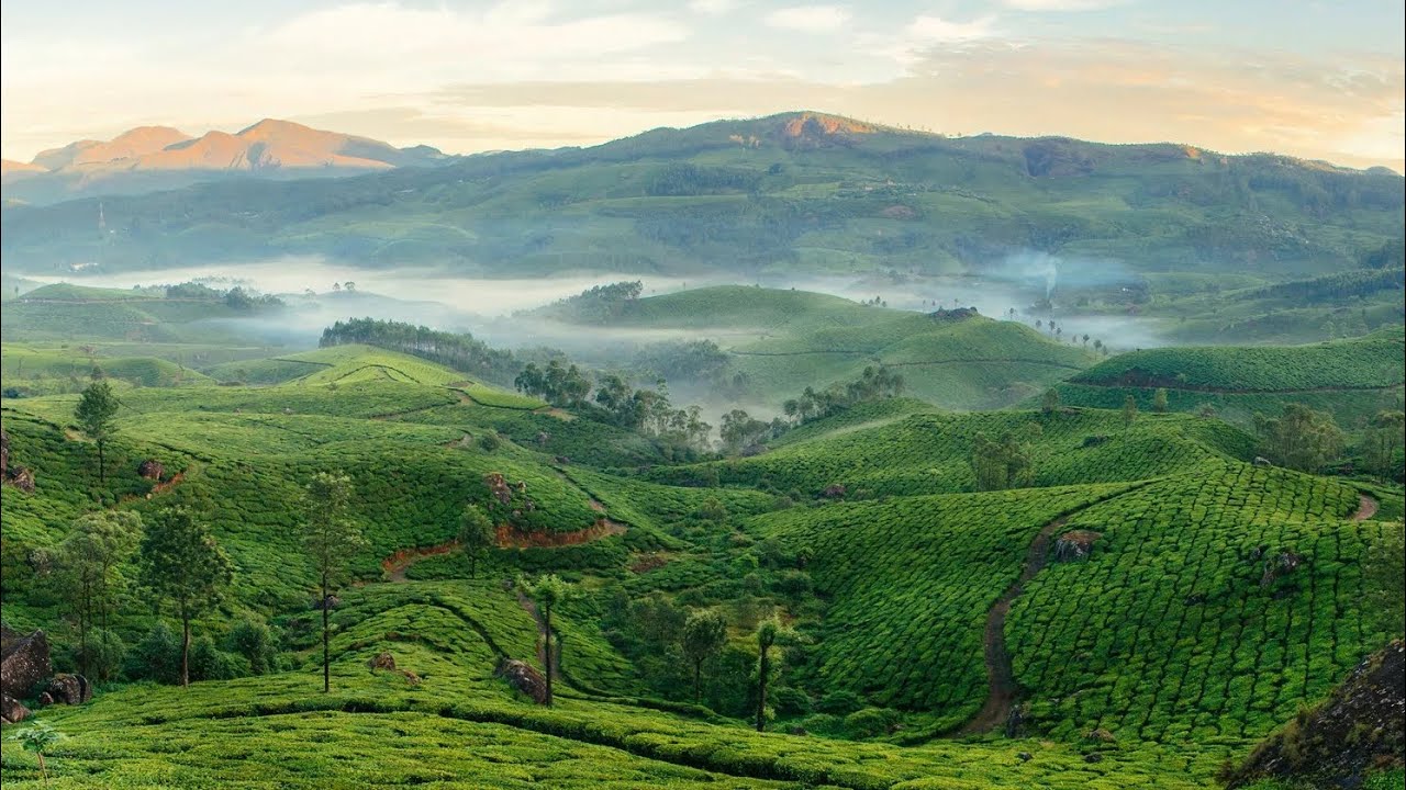 Munnar Moments | A Peaceful Cinematic Journey.  shot on 