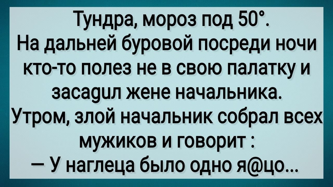 Как в Тундре На Буровой Жена Начальника Грешила! Сборник Свежих Анекдотов! Юмор!