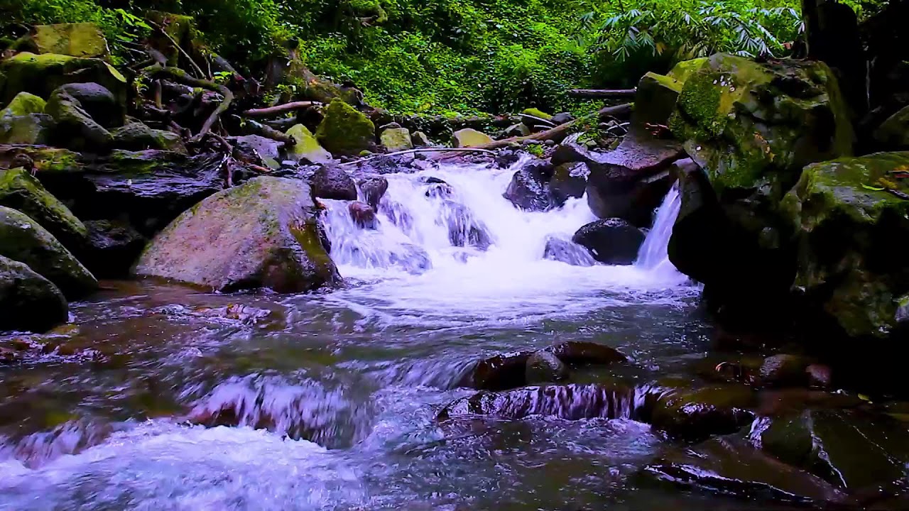 Healing Flowing River Ambience | Nature Sounds for Anxiety Relief and Deep Relaxation