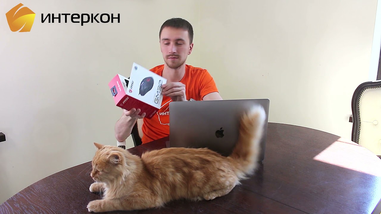 Подключи интернет от Интеркон и выиграй мышь
