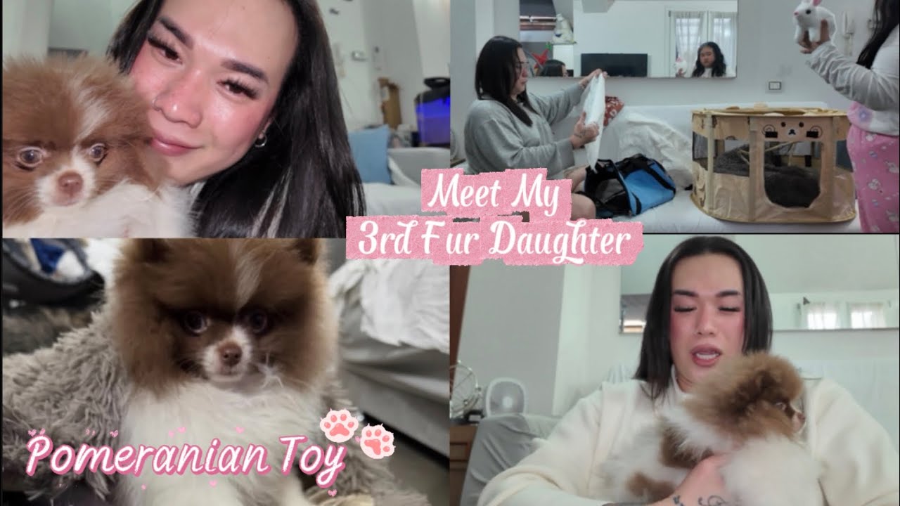VLOG: GETTING MY 3RD  FUR BABY 🐾 MEET MY DAUGHTER.!! (SPITZ POMERANIAN TOY)