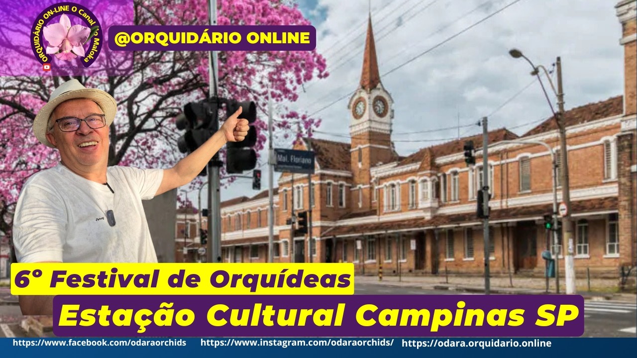 6o Festival de Orquídeas de Campinas SP Venda de Orquídeas, Artesanato, Estação Cultura #campinas