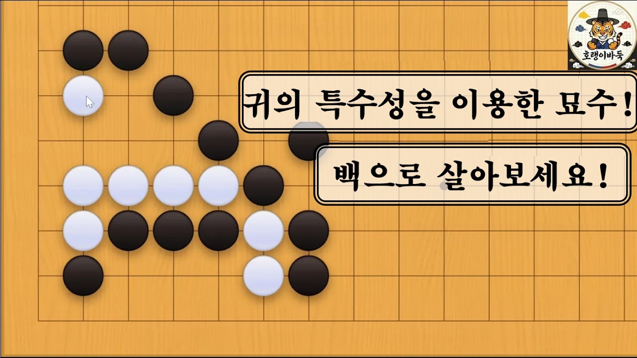 [바둑 사활] 귀의 묘수를 이용해 상대 맨탈을 터는 한수!