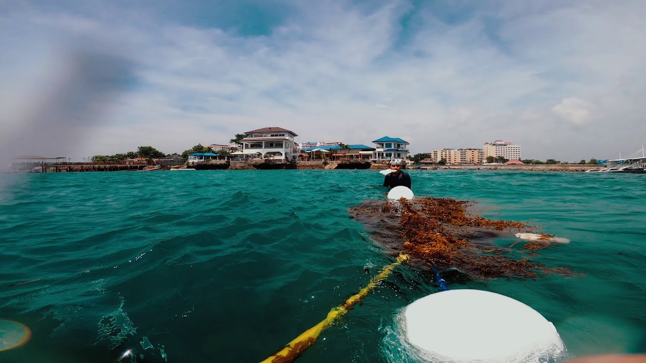 Club Kontiki Resort | Cebu Freedive & Sardines!