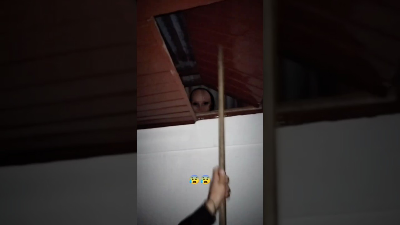 Something Was Waiting in the Attic&hellip;