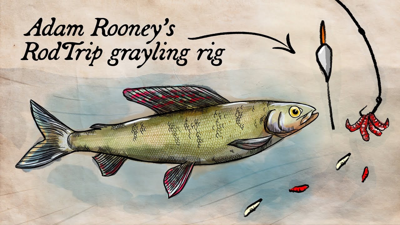 Grayling Fishing Setup Explained | RodTrip Rigs 🎣
