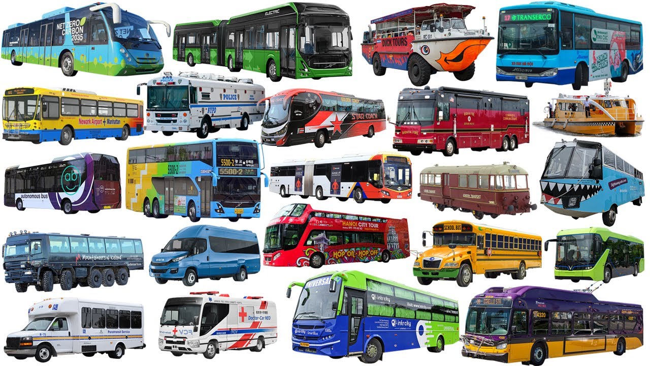 BUS VEHICLE NAME Collection - Shool bus, City bus, Coach | Unique Types of Buses Around the World
