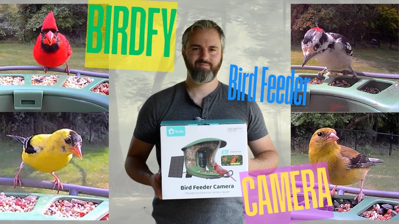 Распаковка, настройка и обзор: Birdfy Feeder 2 Pro — лучшая умная камера для наблюдения за птицами!