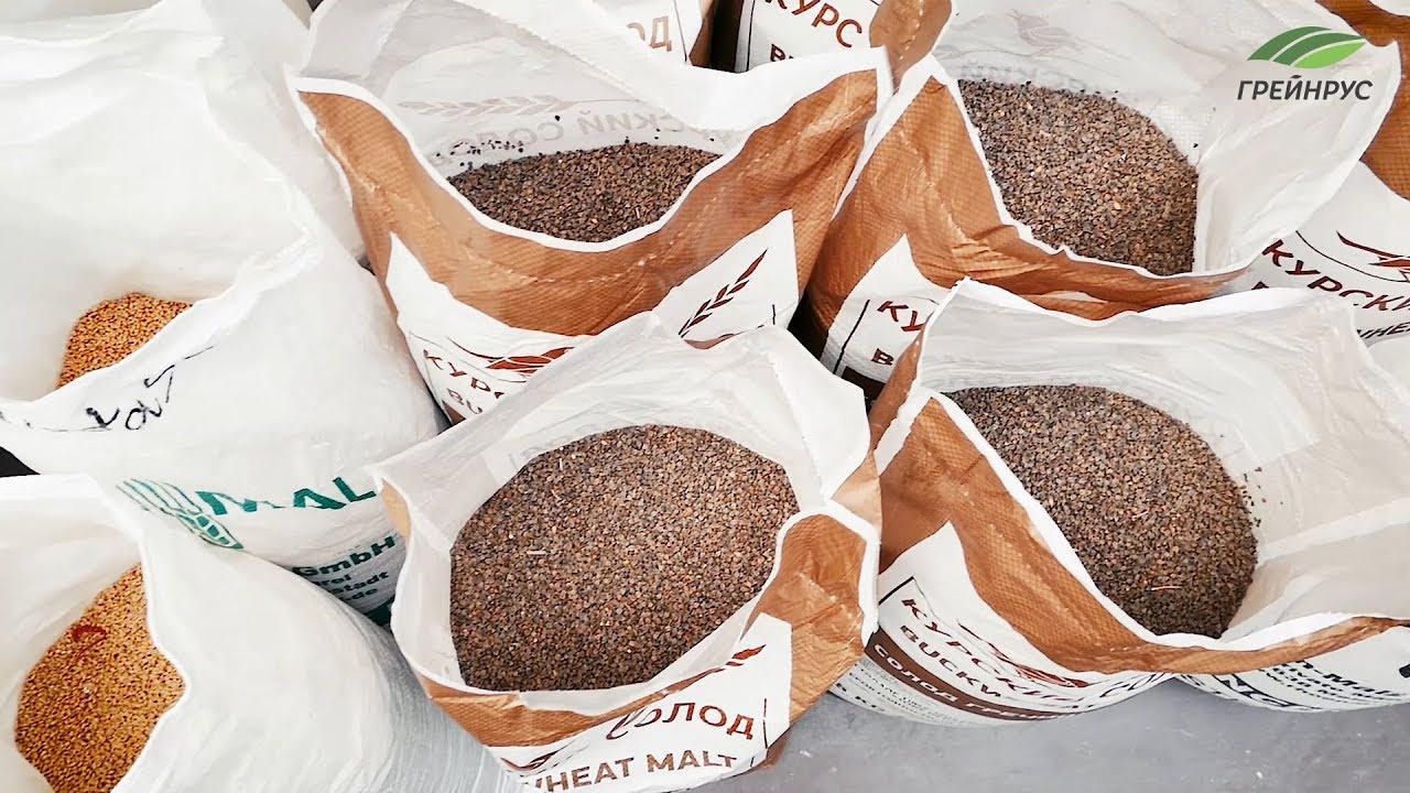 NEW: Buckwheat malt - unique & new type of malt throughout Russia.