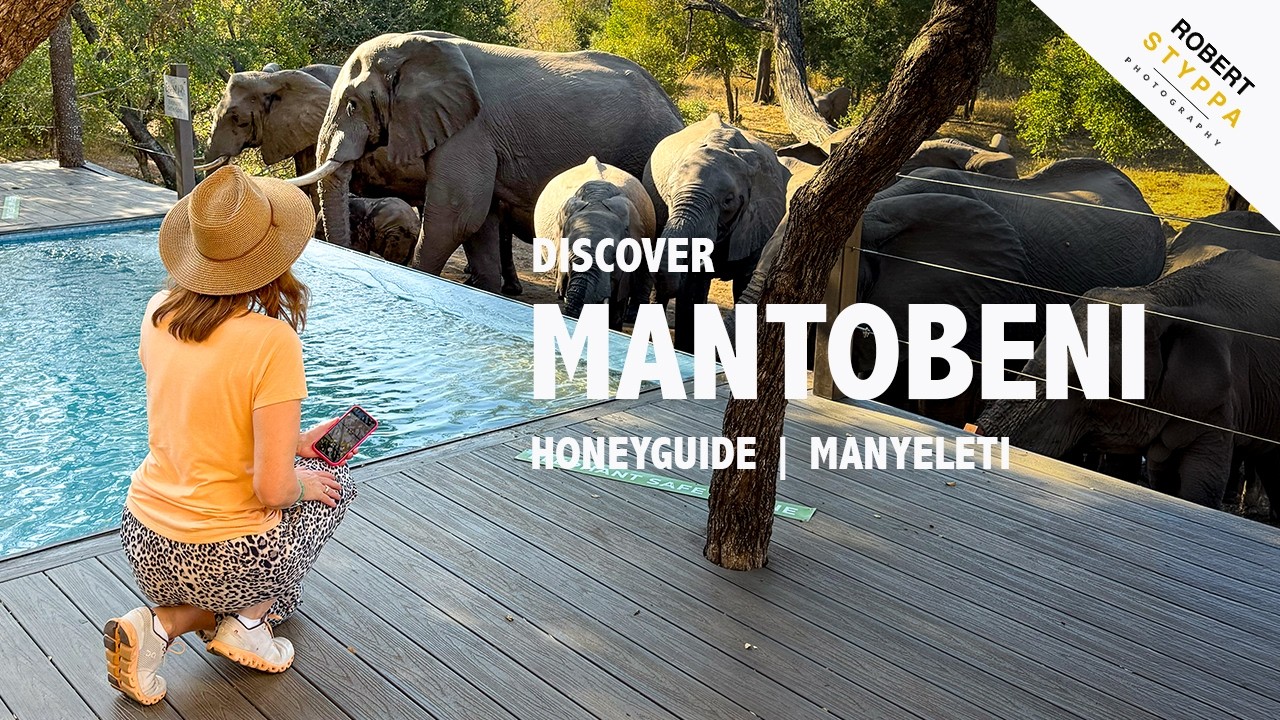 MANTOBENI HONEYGUIDE (SOUTH AFRICA): Luxury Safari Camp &ndash; Luxury Glamping in Manyeleti (Kruger NP)