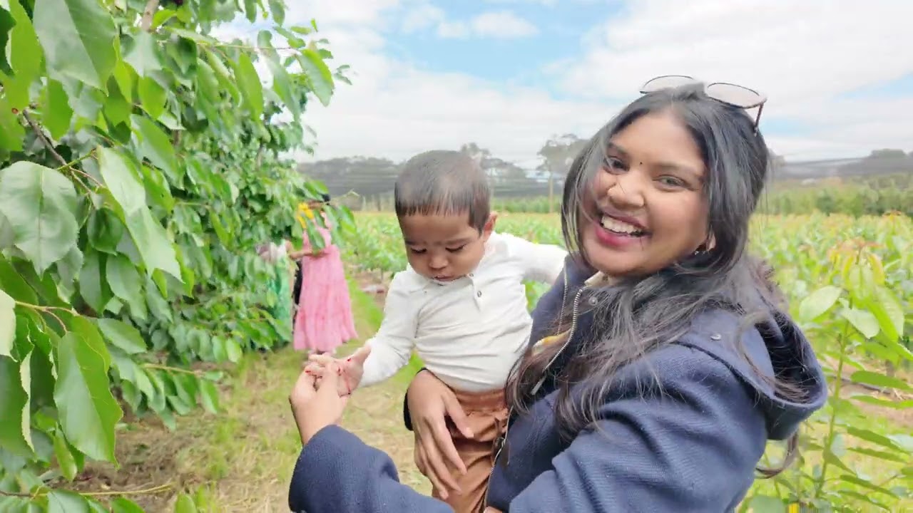 Cherry Picking in Melbourne 🍒 | Summer Vlog