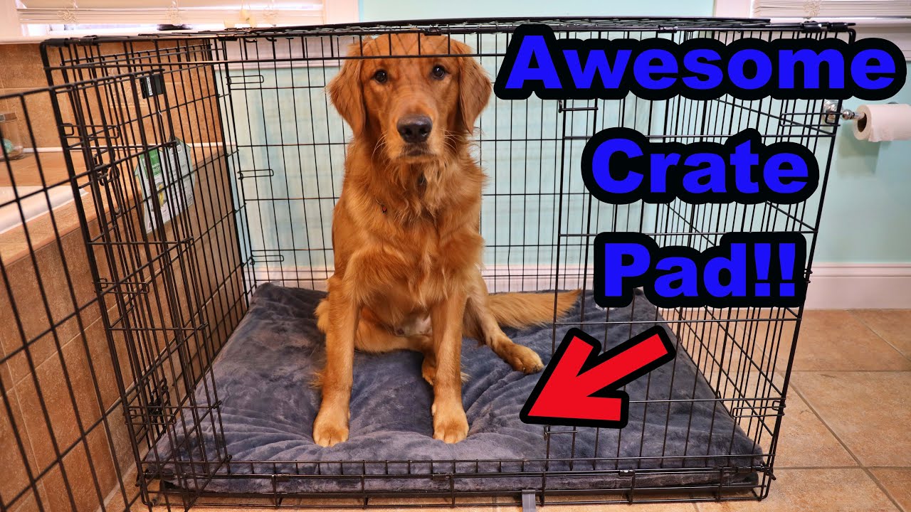 Best Dog Crate Pad from Amazon
