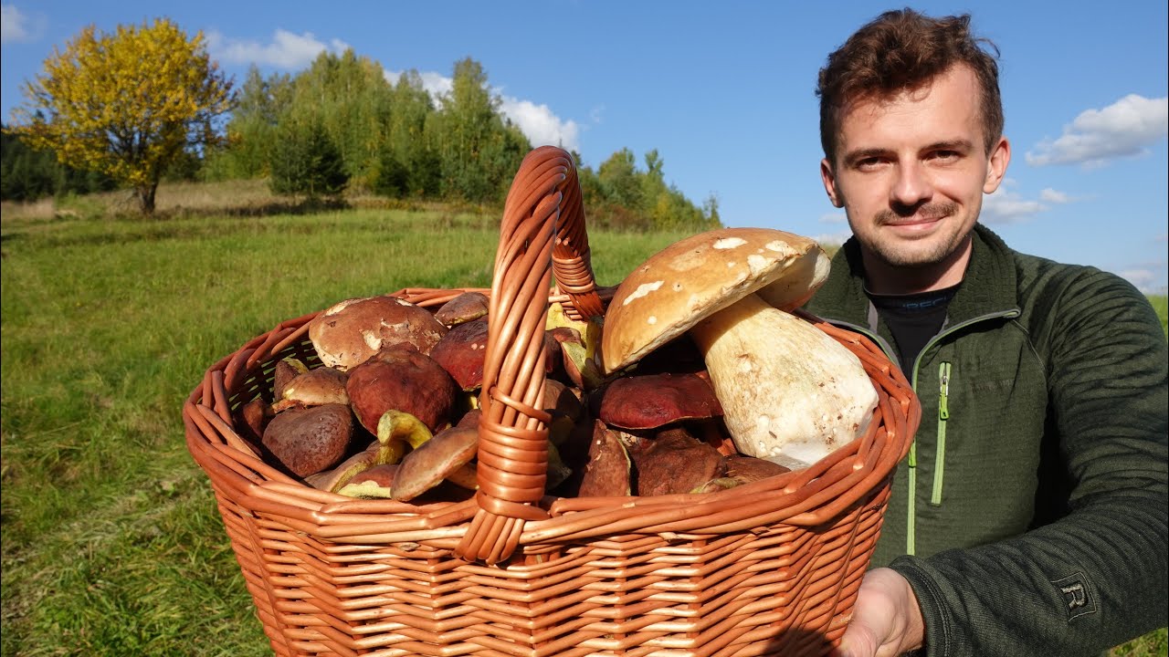 GRZYBOBRANIE wśród piękna jesieni