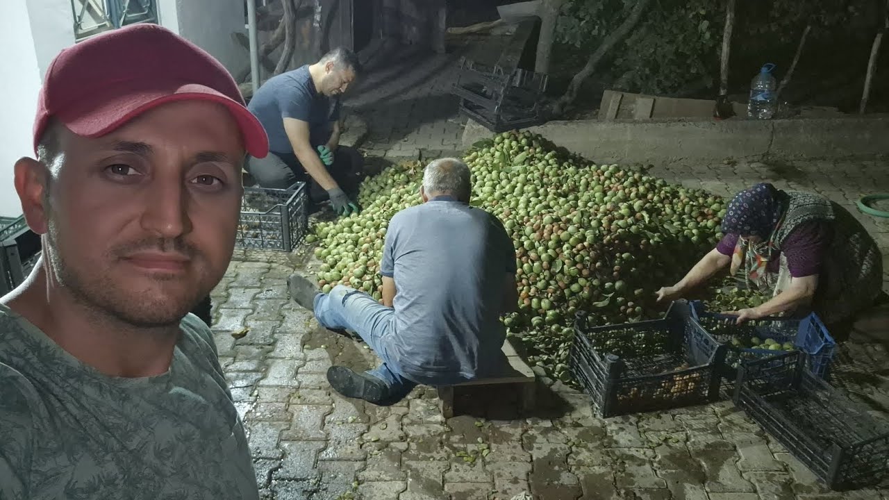 125- Küçük Bahçenin Cevizleri soyuluyor... Kadıoğlu Cks 130... 💪🏻⚡️🇹🇷