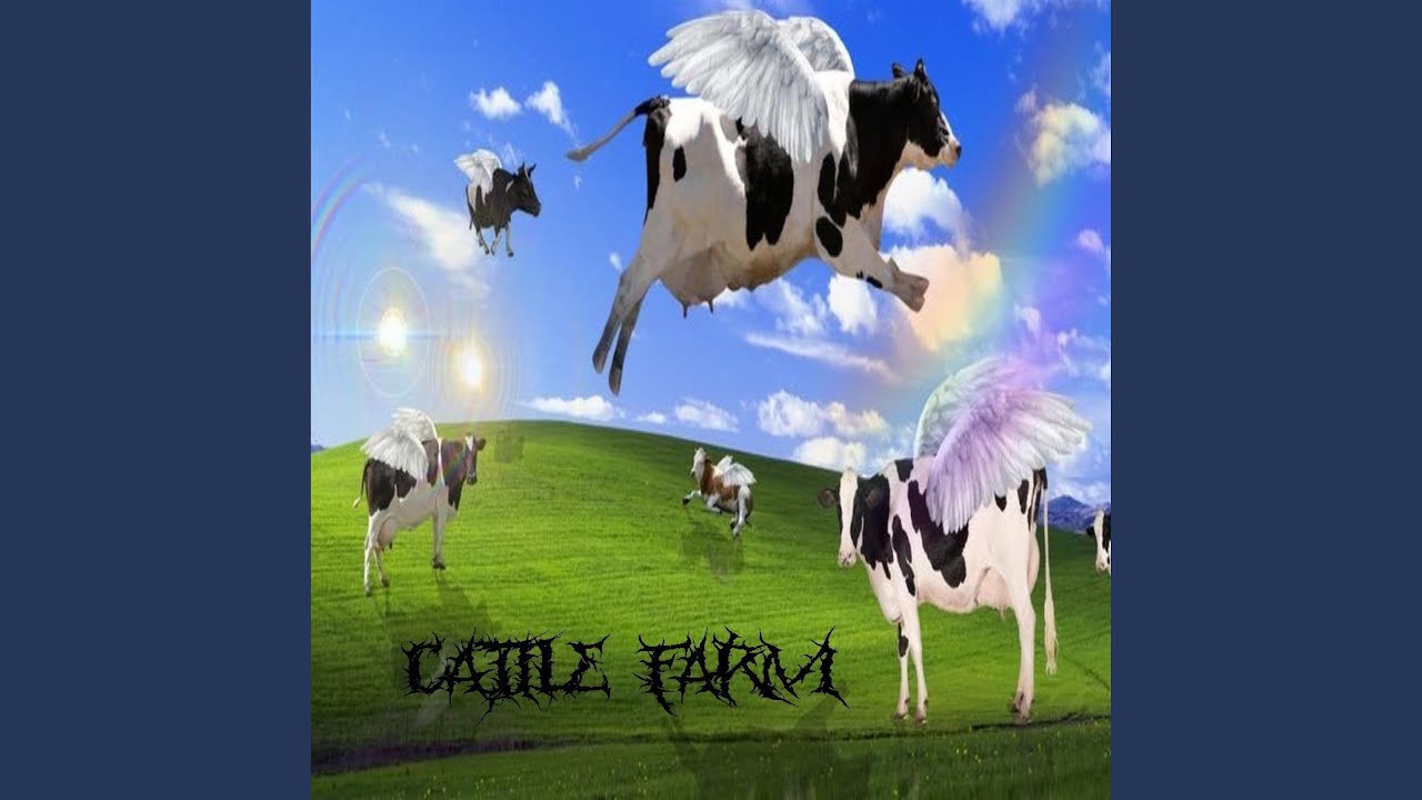 farma bydła