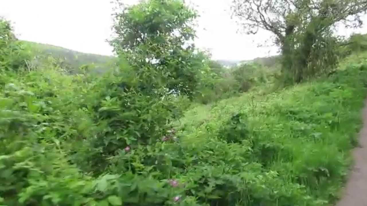 The Hall Walk from Pont Pill to Bodinnick by Fowey in Cornwall 3