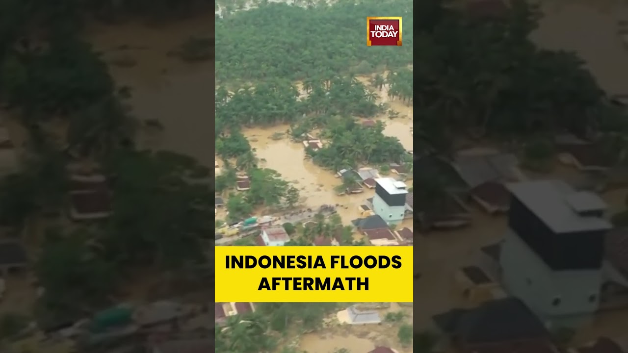 Aerial Visuals Show Aftermath of Deadly Indonesian Flash Floods And Landslides | India Today