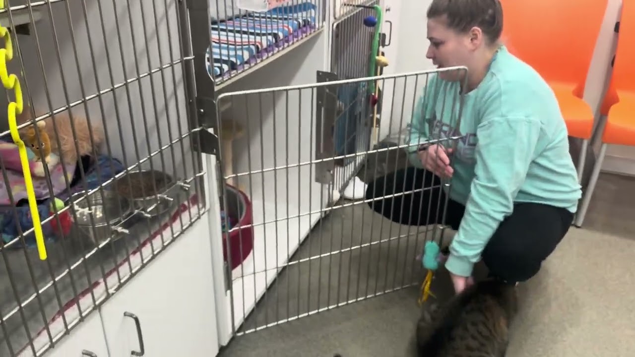 Играем в Rocket!!!