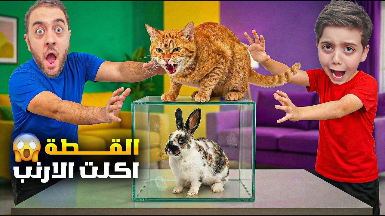 جبنا أرنب لدينيز وزكريا 🐰 القطة أكلتو 😱 ودينيز بكي عليه😭